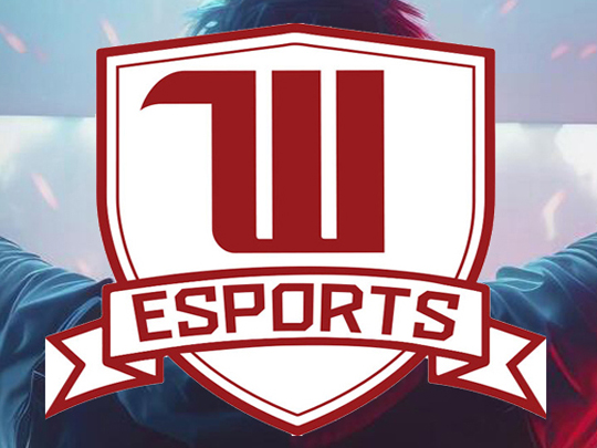 witt-esports